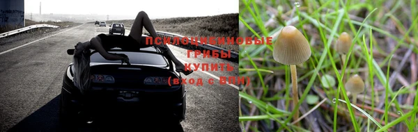 мдпв Новозыбков