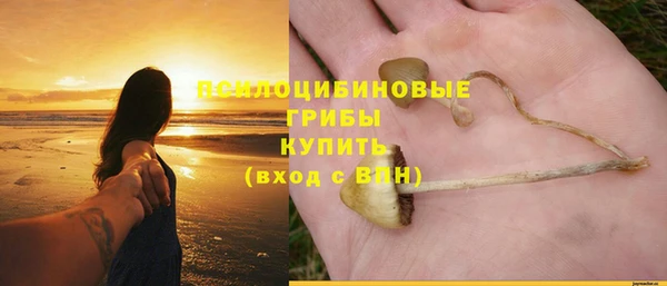 мдпв Новозыбков
