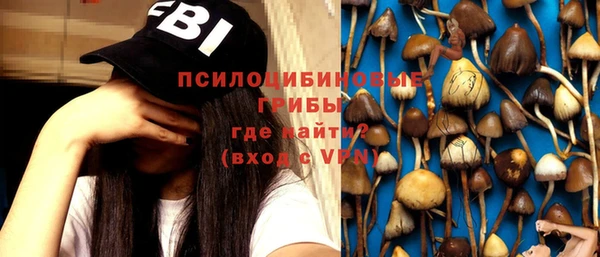 эйфоретик Новодвинск