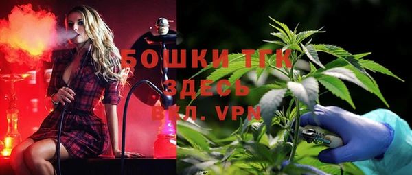 мдпв Новозыбков