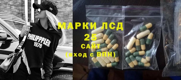 мдпв Новозыбков