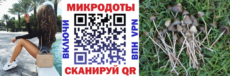 ссылка на мегу как зайти  Абаза  Псилоцибиновые грибы GOLDEN TEACHER  купить наркотик 